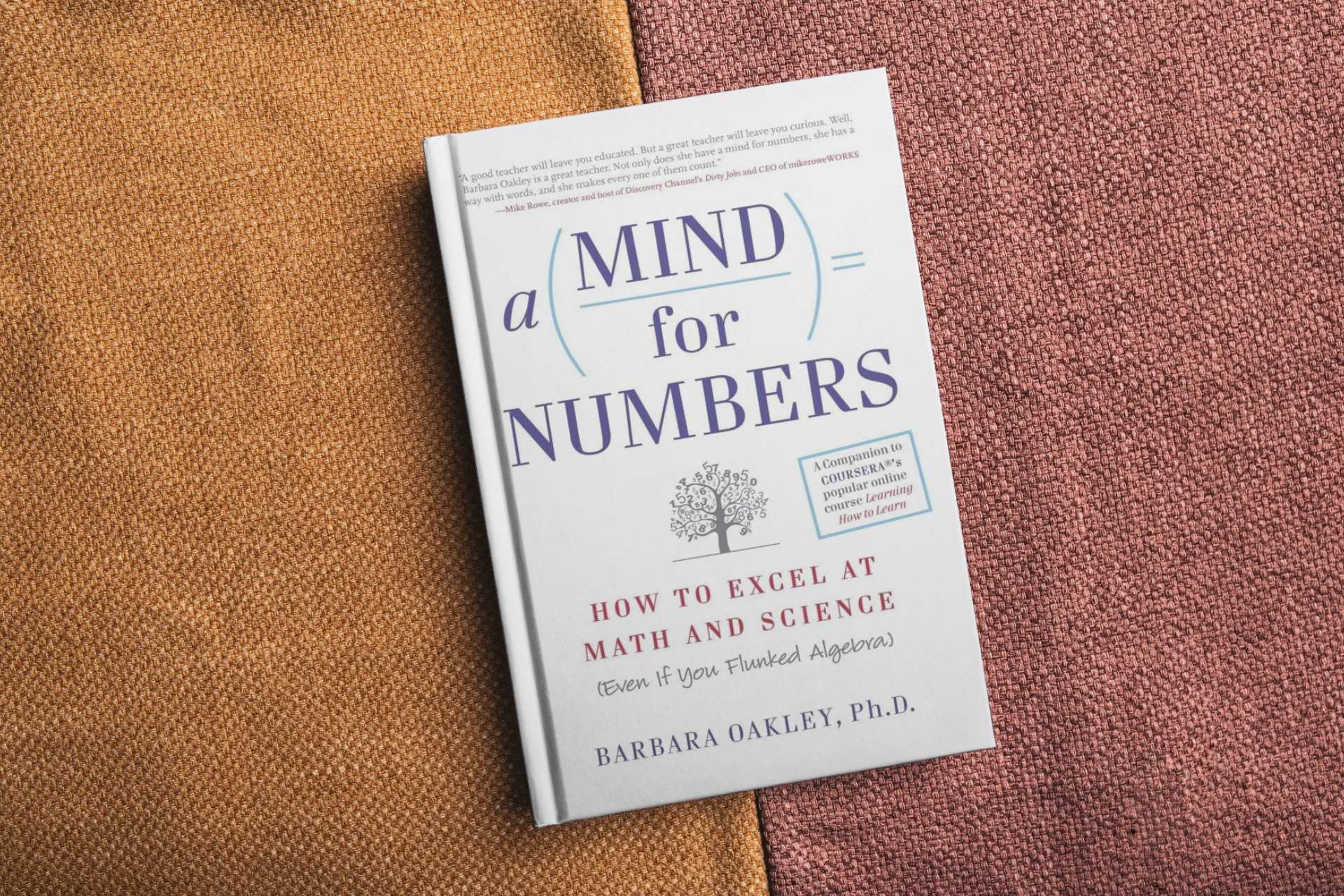 You are currently viewing Book Summary: A Mind for Numbers by Barbara Oakley